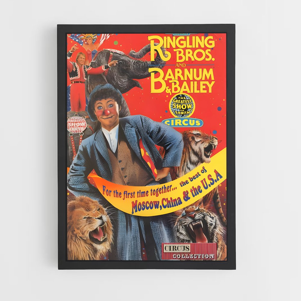 Poster Le Cirque Éblouissant (vue 2)
